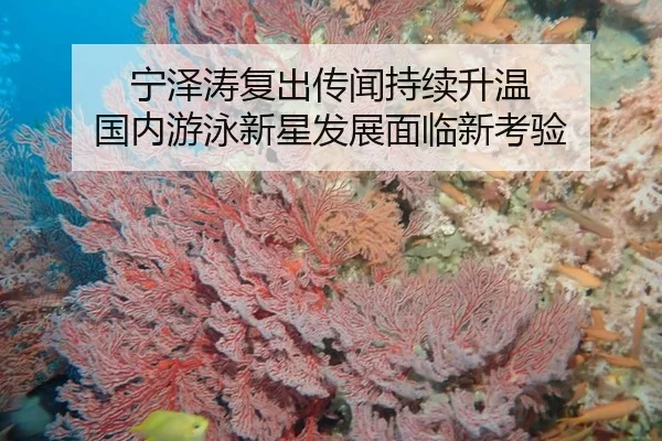 ning-ze-tao-fu-chu-chuan-wen-chi-xu-sheng-wen-guo-nei-you-yong-xin-xing-fa-zhan-mian-lin-xin-kao-yan-3-472.jpg
