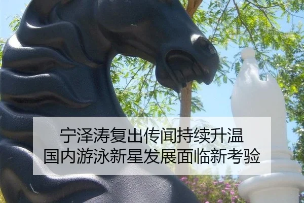 宁泽涛复出传闻持续升温 国内游泳新星发展面临新考验